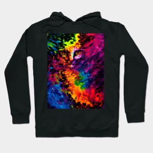 Trippy Psychedelic Cat Face Hoodie